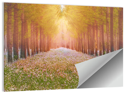 Golden Morning Forest Path Wall Art