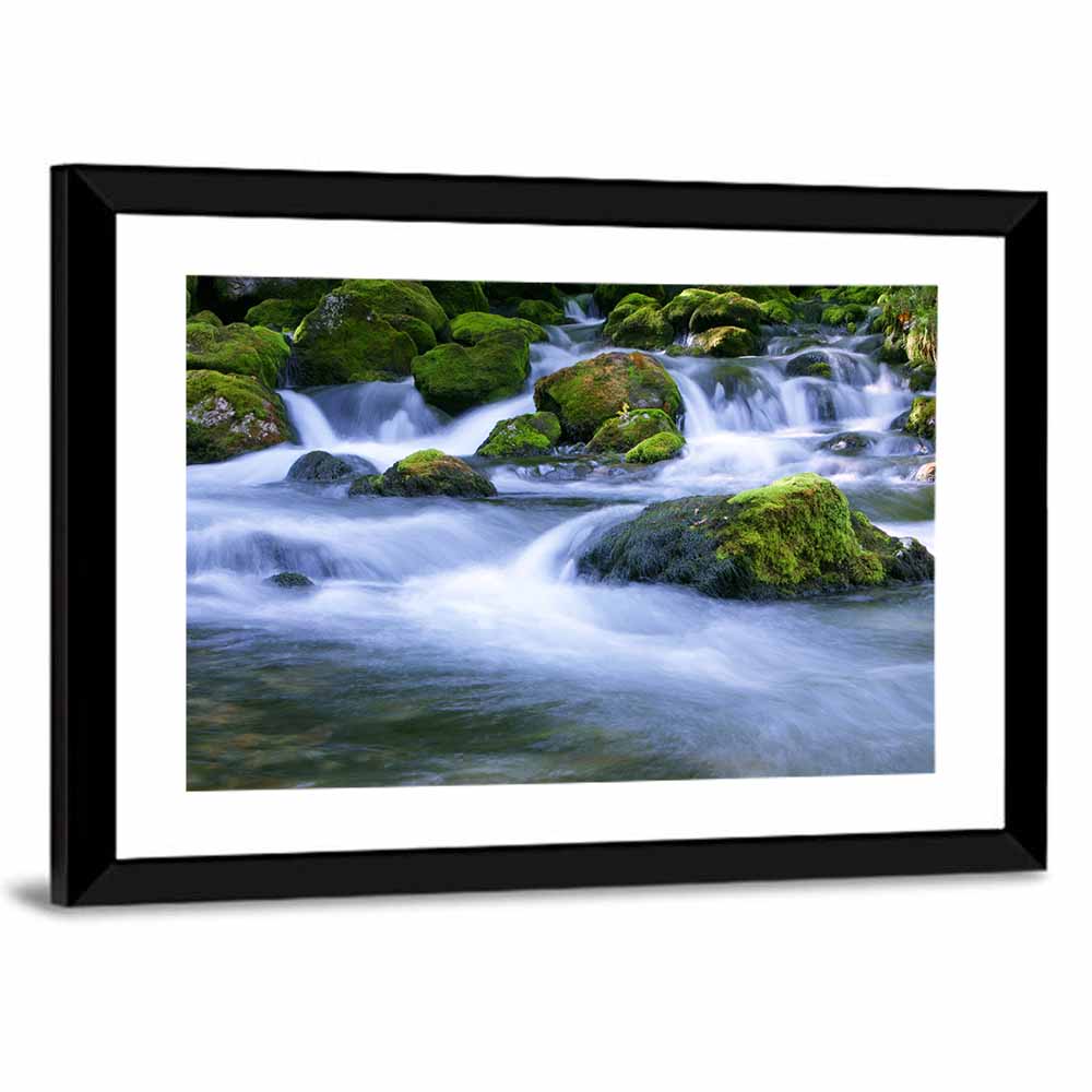 Mossy Forest Stream Wall Art
