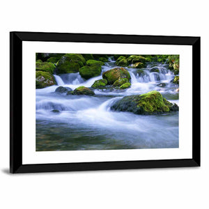 Forest Stream Wall Art