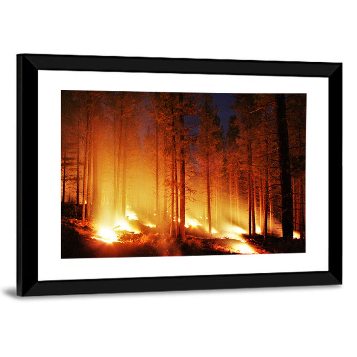 Night Forest Fire Wall Art as a framed print