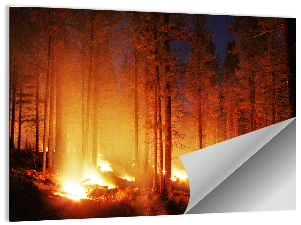 Night Forest Fire Wall Art, poster print, landscape