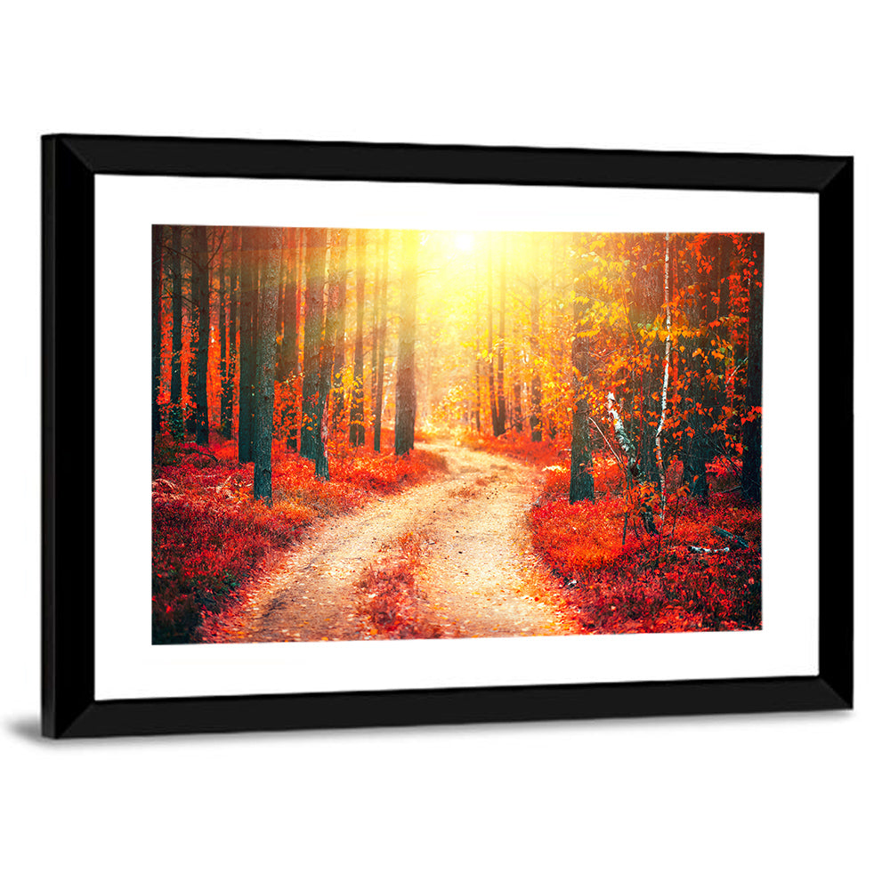 Golden Path Through Autumn Woods Wall Art