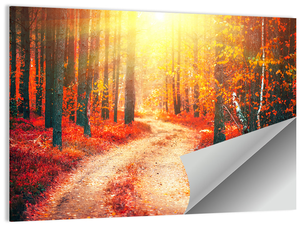 Golden Path Through Autumn Woods Wall Art