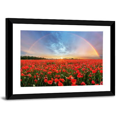 Poppy Field with Double Rainbow Wall Art