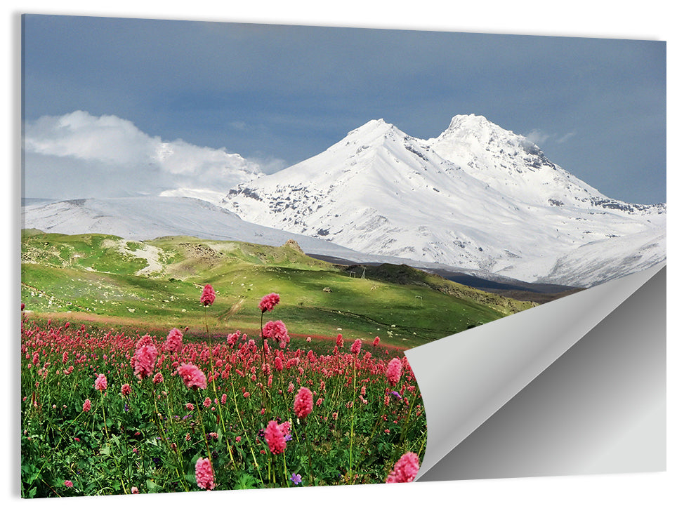 Caucasus Spring Wildflower Meadow Wall Art