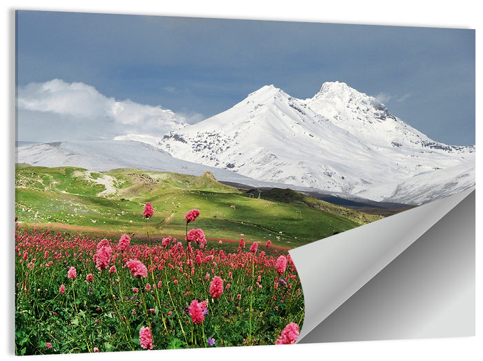 Caucasus Spring Wildflower Meadow Wall Art as a poster print