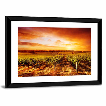 Australian Vineyard Sunset Wall Art