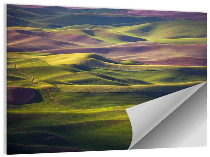 Palouse Farmland at Golden Hour Wall Art as a poster print