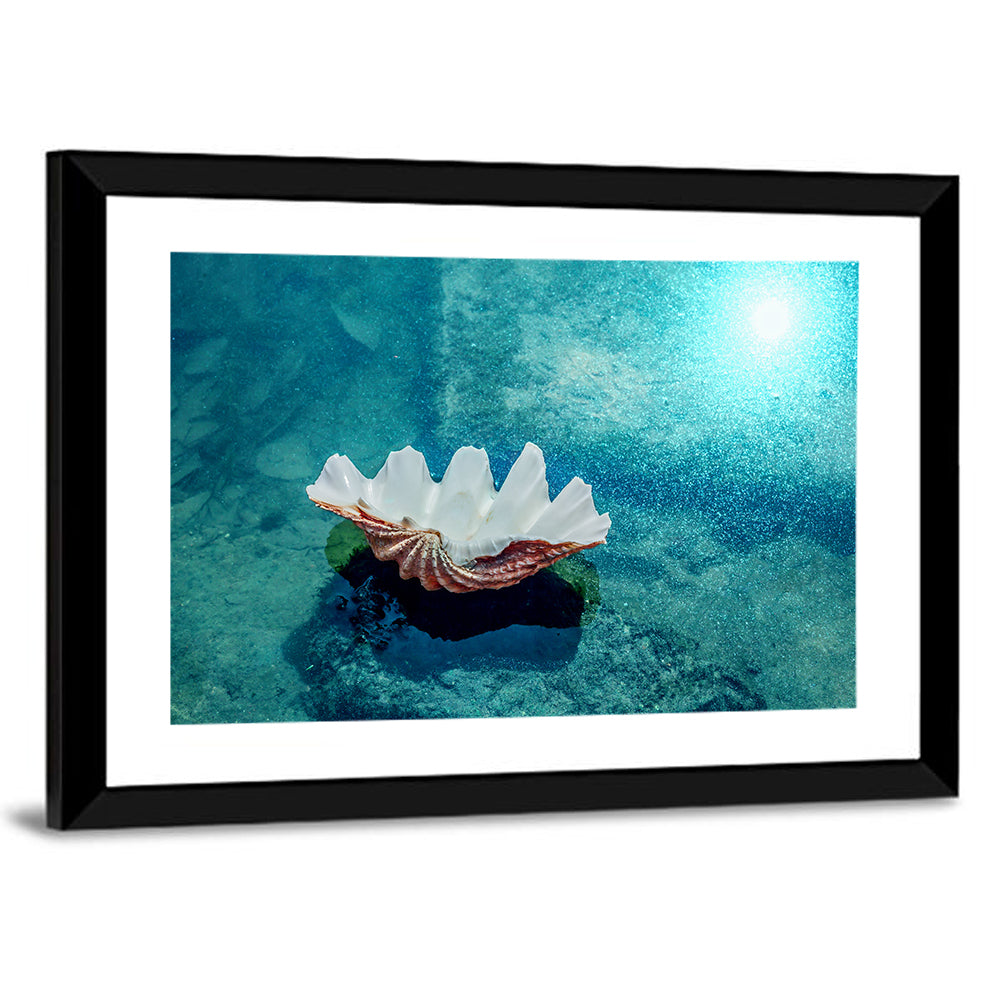 Giant Clam Shell Wall Art