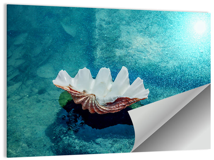 Giant Clam Shell Wall Art as a poster print