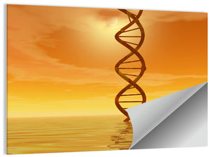 DNA Structure Wall Art