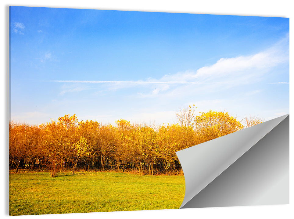 Autumn Forest Meadow Wall Art