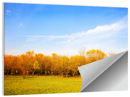 Autumn Forest Meadow Wall Art