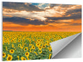 Golden Hour Sunflower Field Wall Art