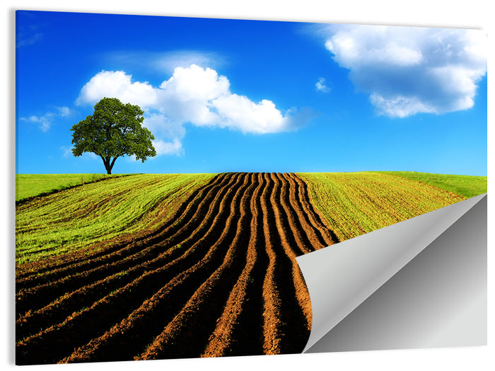 Plowed Field with Lone Tree Wall Art as a poster print