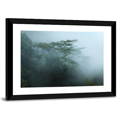 Misty Rainforest Canopy Wall Art