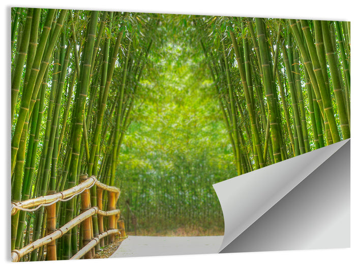 Bamboo Alley Wall Art as a poster print