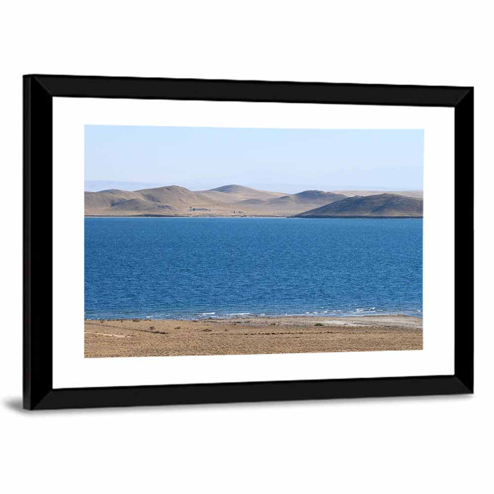 Aydarkul Lake Shoreline, Uzbekistan Wall Art