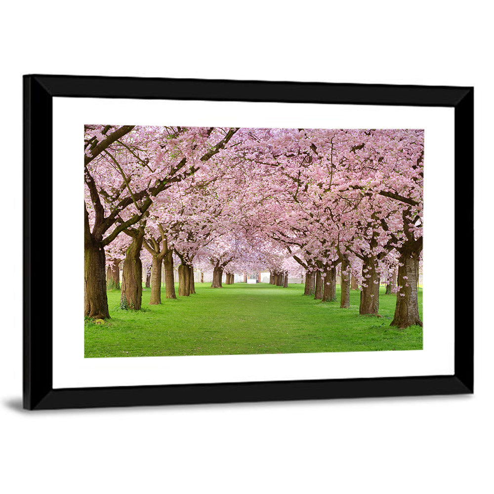 Cherry Blossom Avenue Wall Art