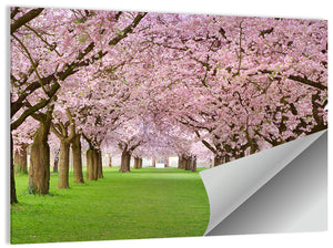 Blossoming Cherry Wall Art