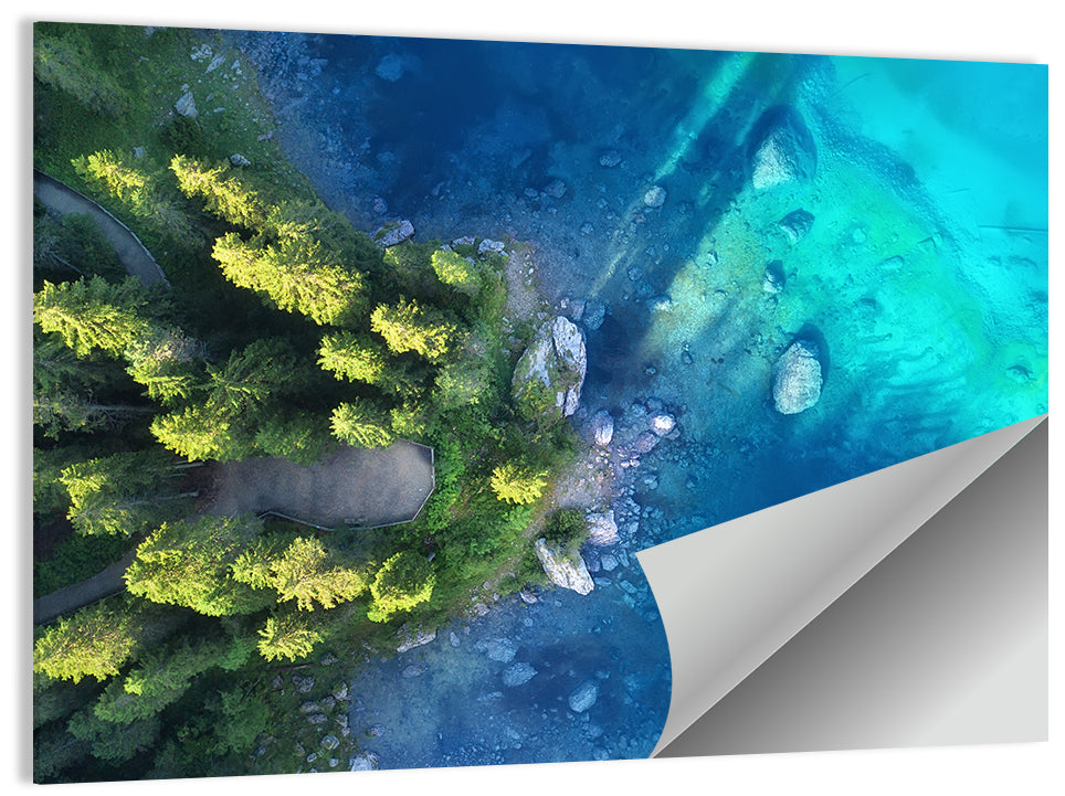 Winding Forest Path by Turquoise Lake Wall Art