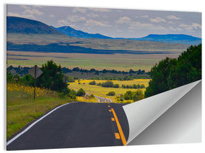 New Mexico Highway Wall Art