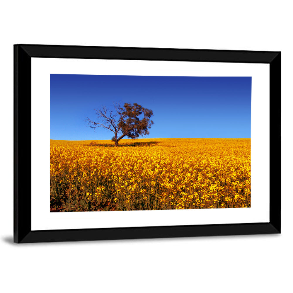 Canola Field with Lone Tree Wall Art
