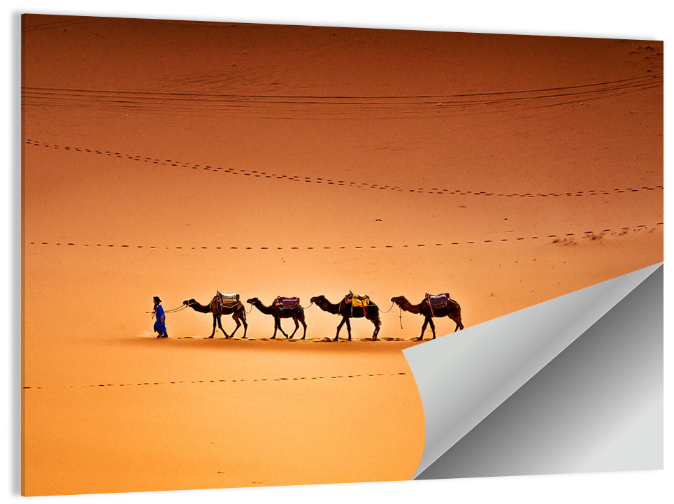 Camels In Sahara Desert Wall Art