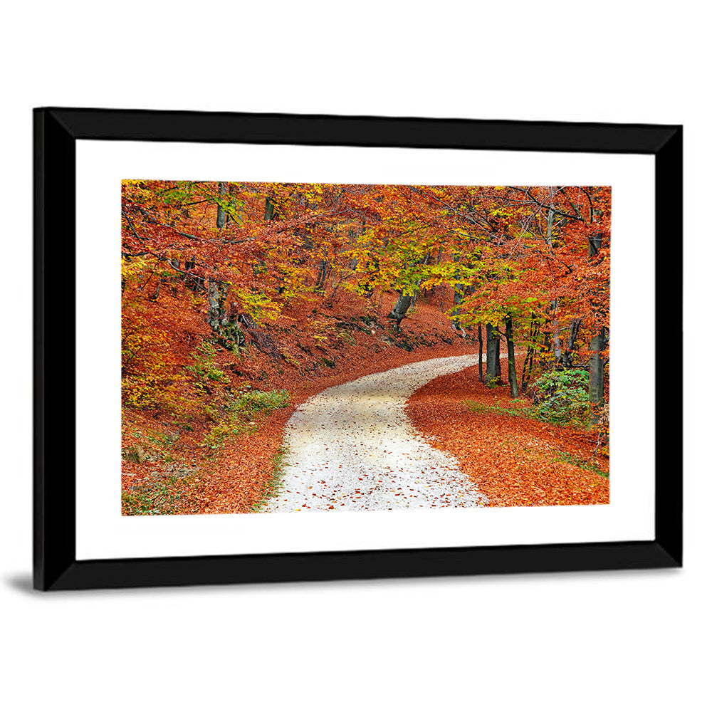 Misty Gravel Path Through Autumn Trees Wall Art