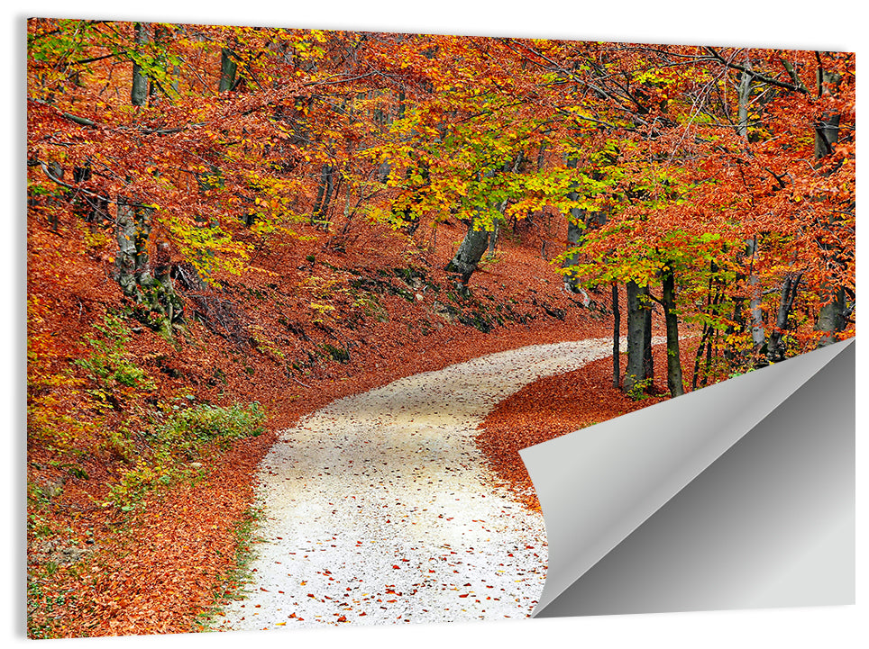 Misty Gravel Path Through Autumn Trees Wall Art