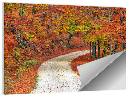Misty Gravel Path Through Autumn Trees Wall Art