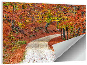 Misty Autumn Pathway Wall Art