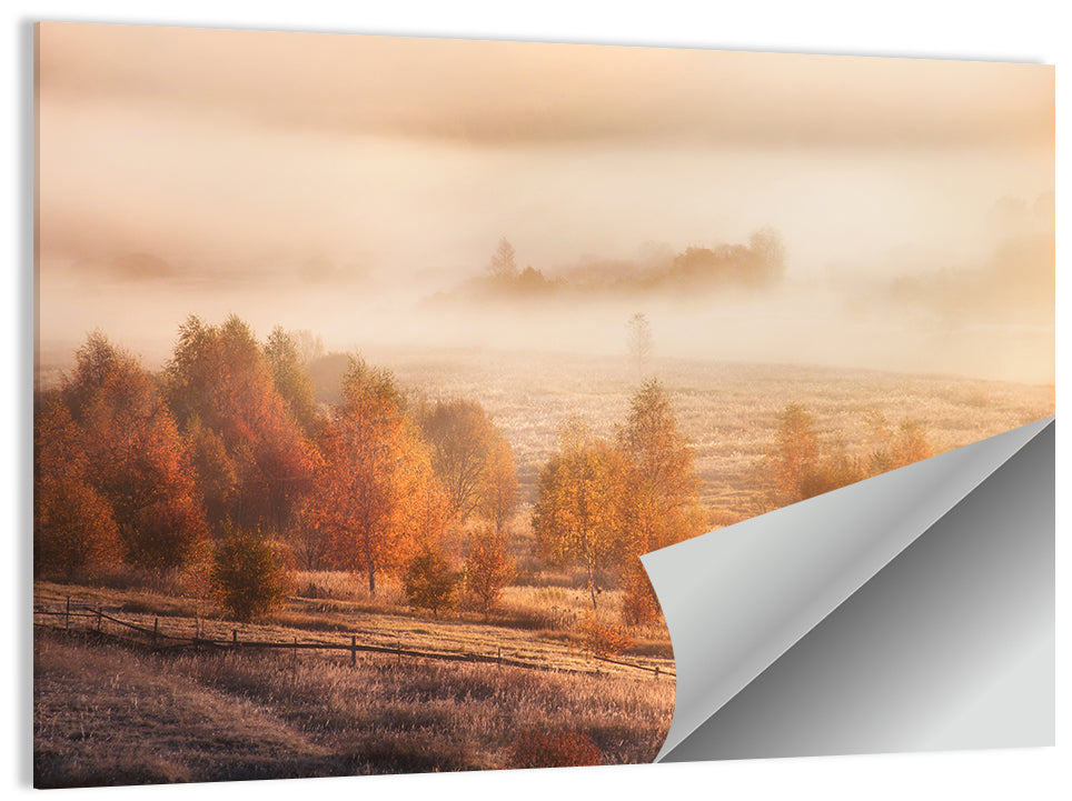 Autumn Morning Horse Silhouette Wall Art