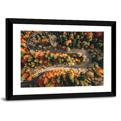 Aerial Winding Autumn Forest Road Wall Art