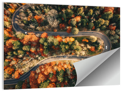 Aerial Winding Autumn Forest Road Wall Art