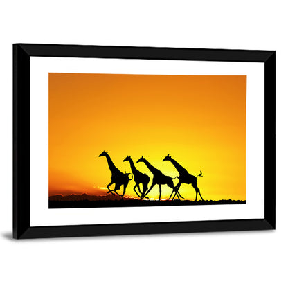 African Giraffes Wall Art