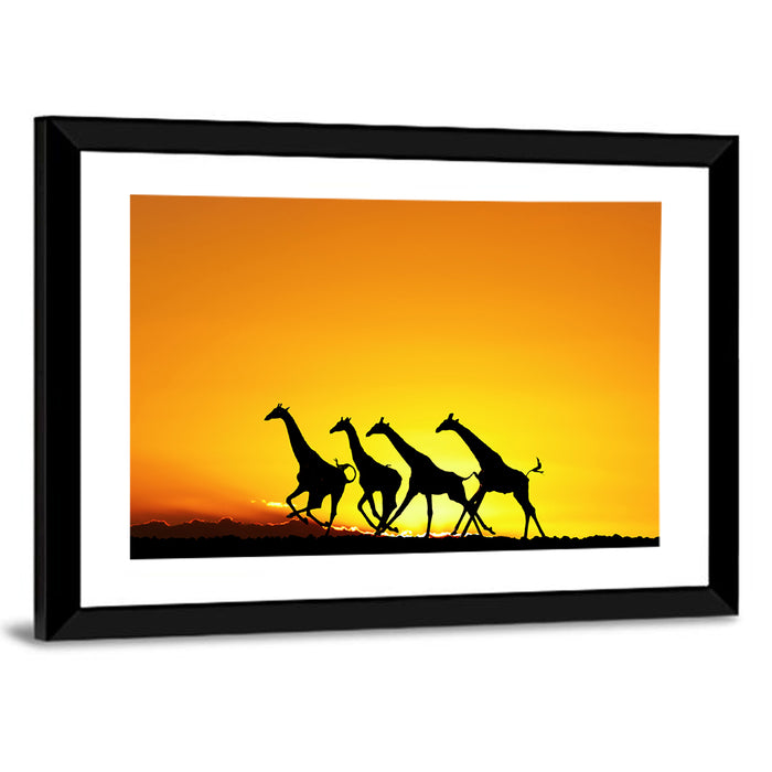 Savanna Giraffes at Sunset Wall Art as a framed print