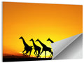 Savanna Giraffes at Sunset Wall Art