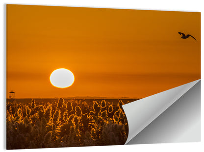 Golden Sunrise Over Reeds Wall Art