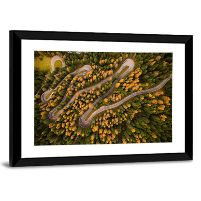 Aerial Curvy Forest Road Wall Art