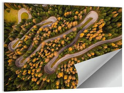 Aerial Curvy Forest Road Wall Art