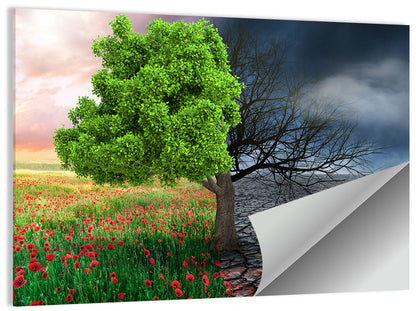 Split Climate Landscape Wall Art