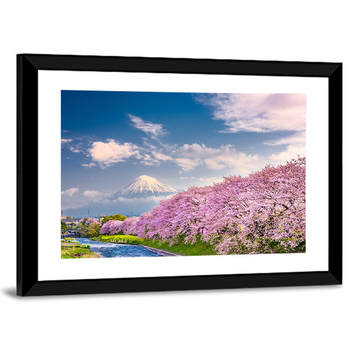Mount Fuji Cherry Blossoms Wall Art as a framed print