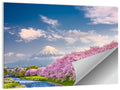 Mount Fuji Cherry Blossoms Wall Art