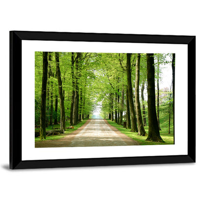 Sunlit Tree-lined Path Wall Art