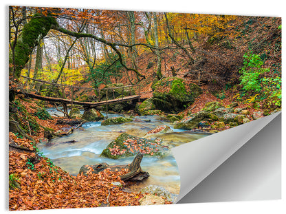 Mossy Footbridge in Autumn Forest Wall Art