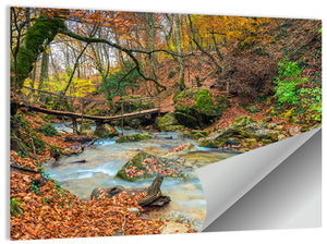 Autumn Forest Stream Wall Art