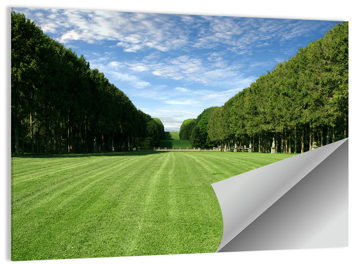 Tree-lined Manicured Lawn Wall Art as a poster print