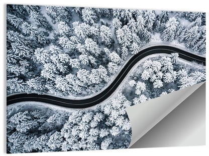 S-curve Winter Forest Road Wall Art