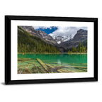 Lake O'hara Reflection Wall Art